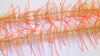 Lively Leg Crustacean Brush